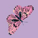 Pop Quiz Lunch Box Little Herschel - 5L - Butterfly - Lavendula