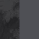 Long Classic Rain Jacket Women's - Cyanotype Flrl-Blk Bty/Irn Gt